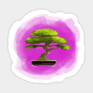 Bonsai Sticker